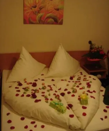 Guest house Nord 3*